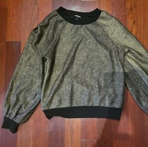 Express sweater new